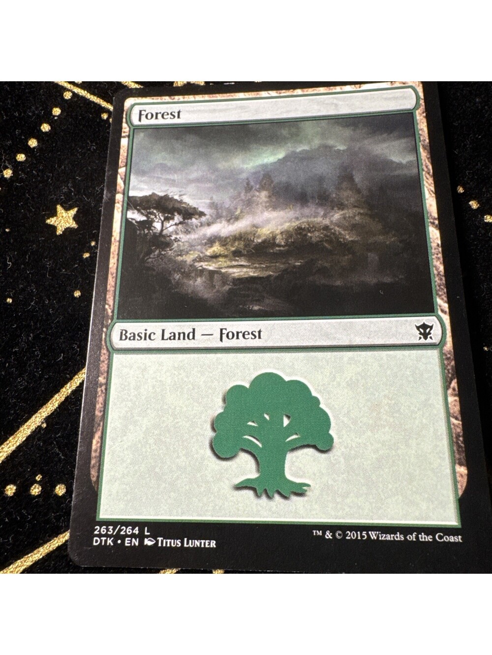 Forest (263) Dragons of Tarkir Regular